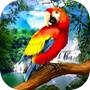 🐦 Wild Parrot Survival - jungle bird simulator!