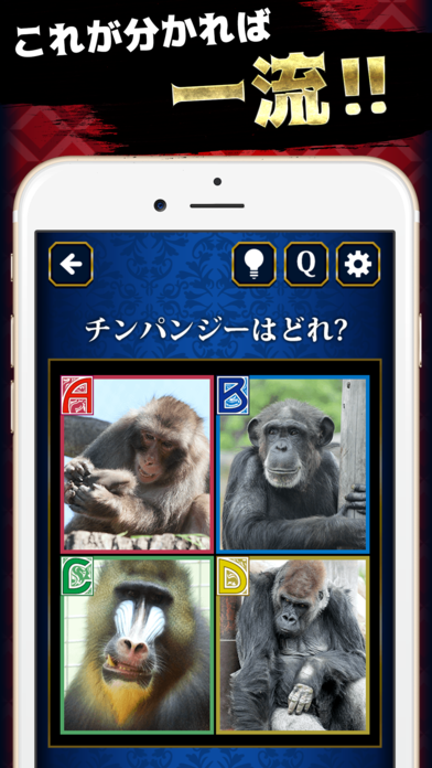 一般人㊙格付けチェック3 Game Screenshot