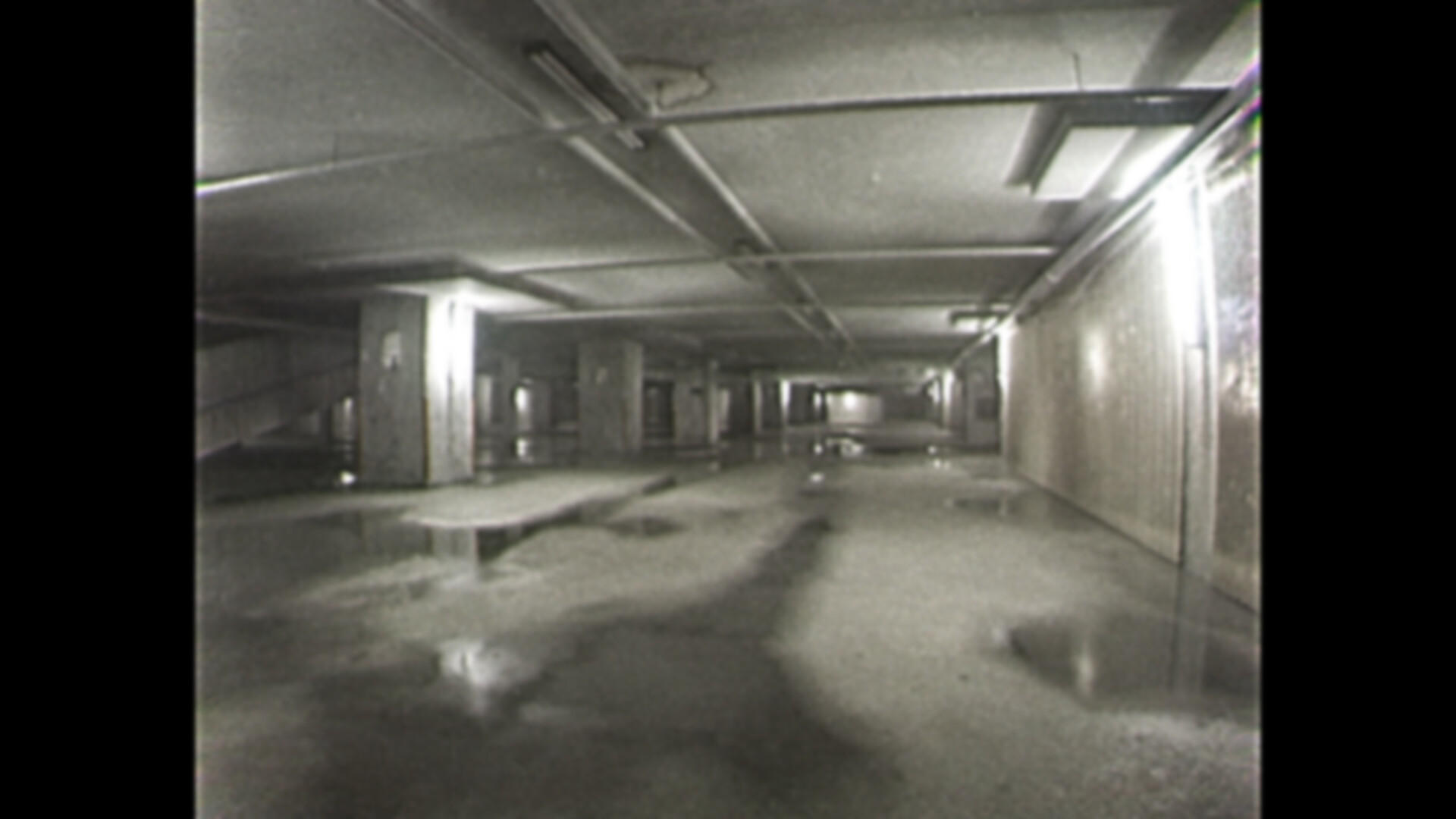 Paradise Nowhere Game Screenshot