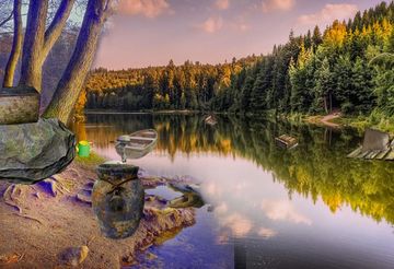 Can You Escape Forest Game Screenshot