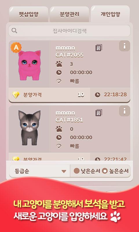 밀리언 키티 : 크립토 고양이 Game Screenshot