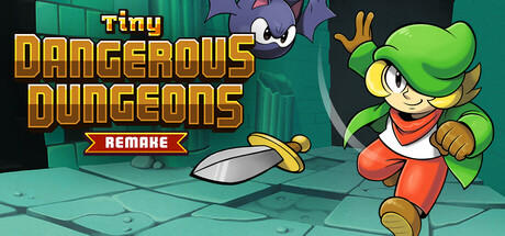 Banner of Tiny Dangerous Dungeons Remake 