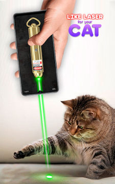 Like Laser for your Cat 게임 스크린샷