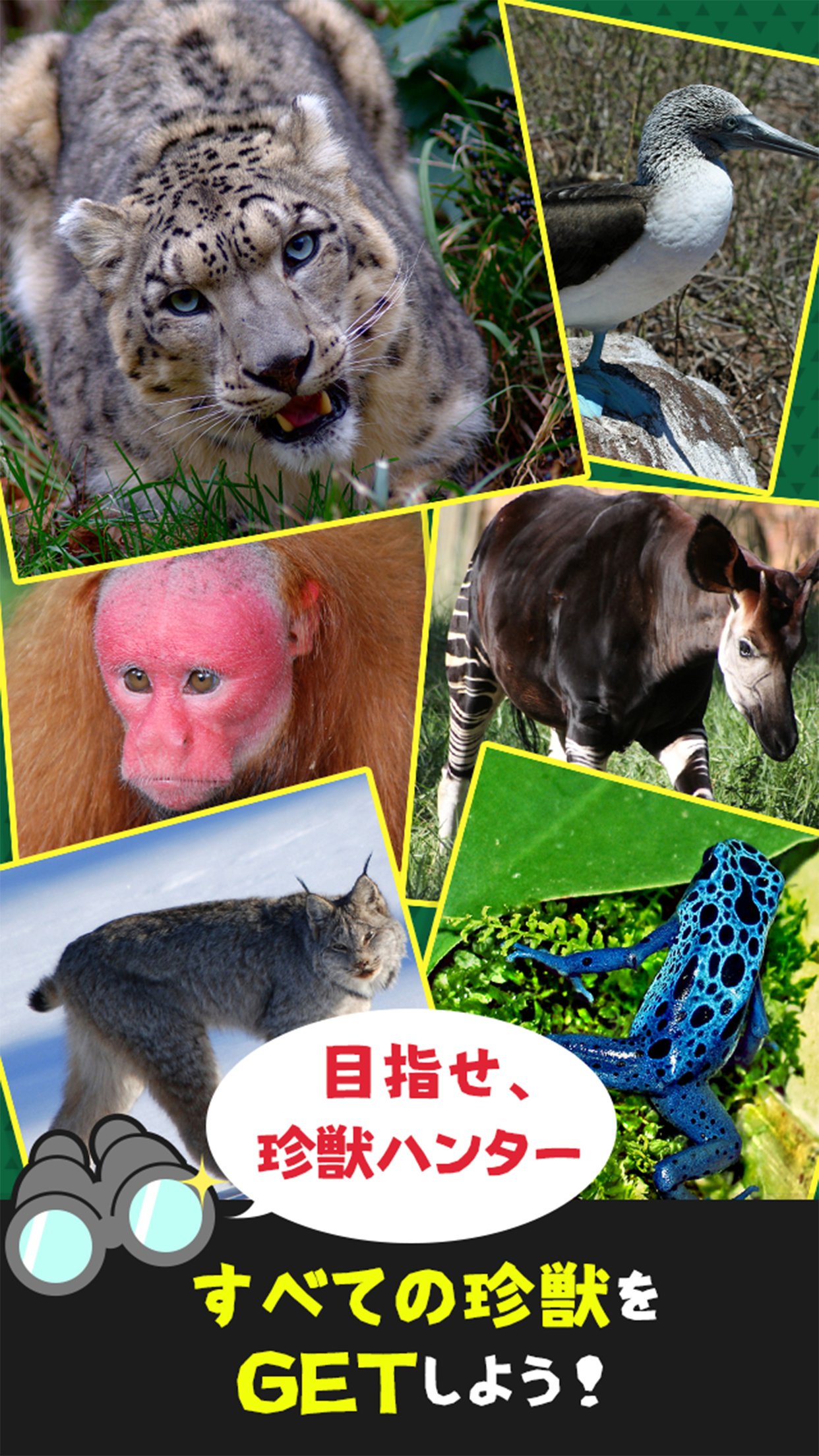 珍獣ハンター 動物図鑑パズル Game Screenshot