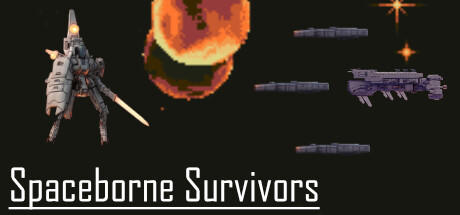 Banner of Spaceborne Survivors 