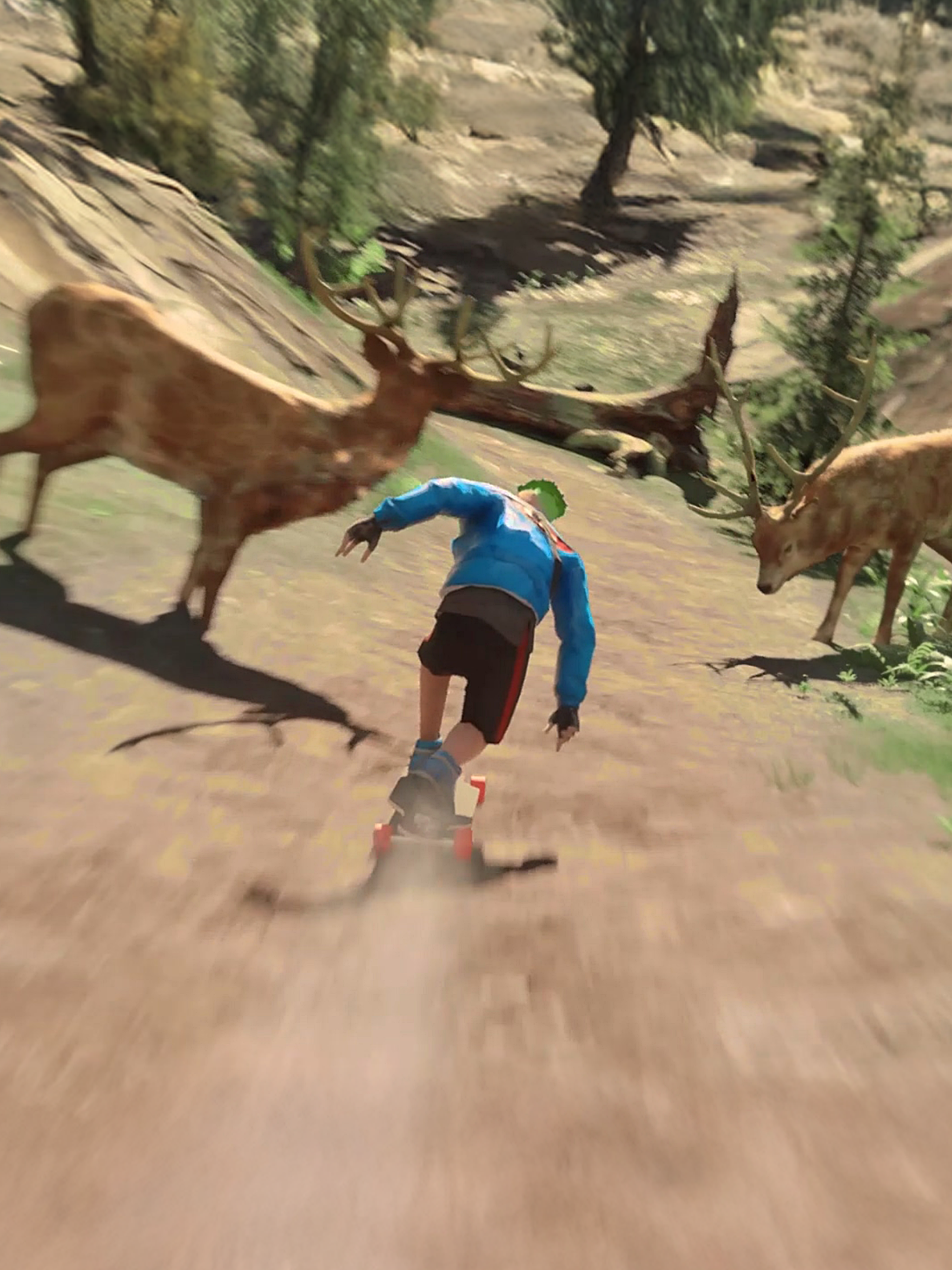 Downhill Racer Game Screenshot