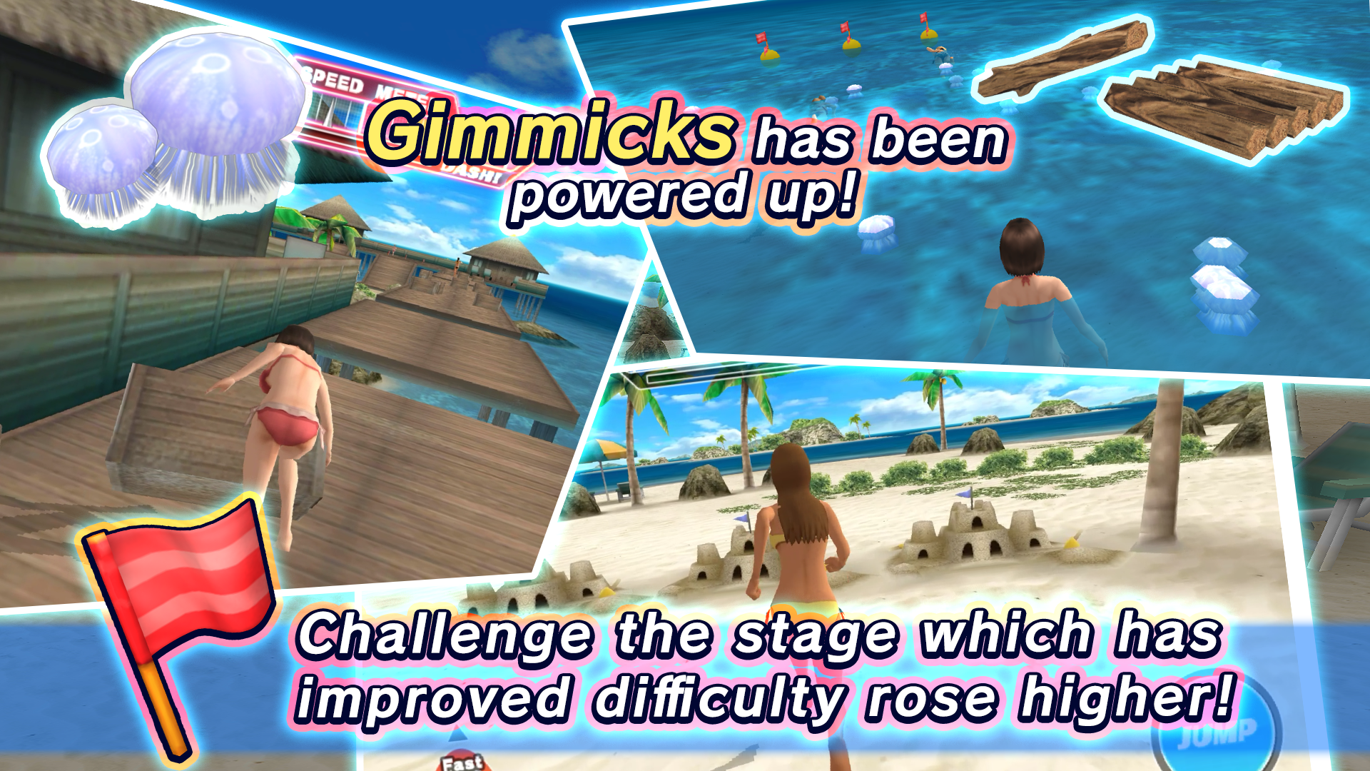 Beach Flags Game Screenshot