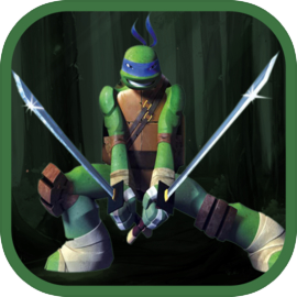 Ninja adventure of turtle