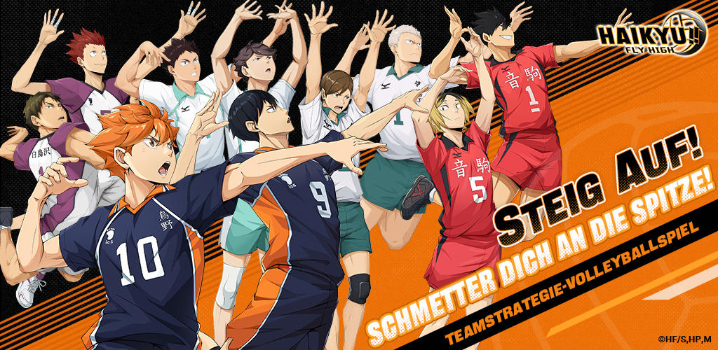 Banner of HAIKYU!! FLY HIGH 