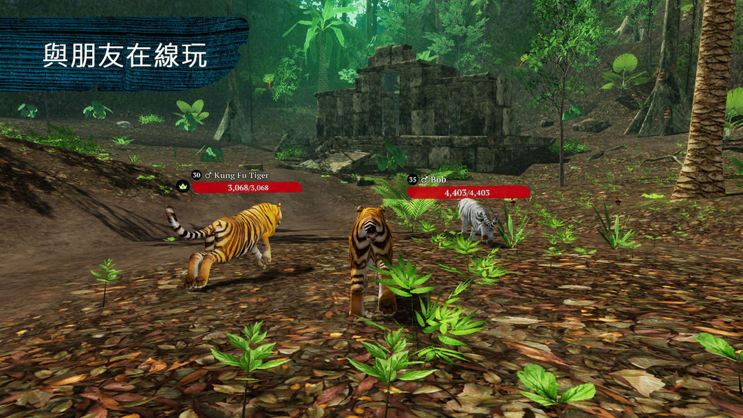 The Tiger遊戲截圖