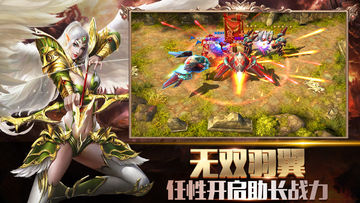 霸王的大陆 Game Screenshot