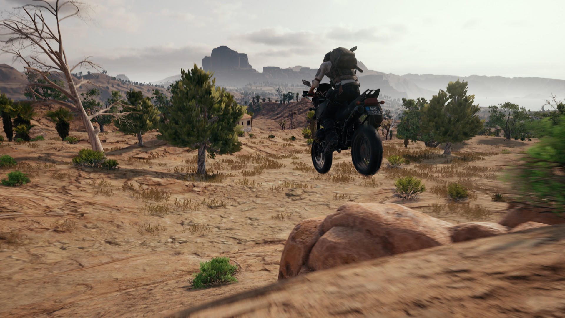 PUBG: BATTLEGROUNDS Game Screenshot