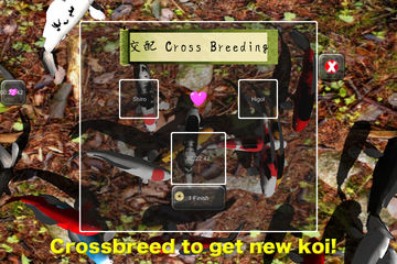 Captura de Tela do Jogo Koi Garden