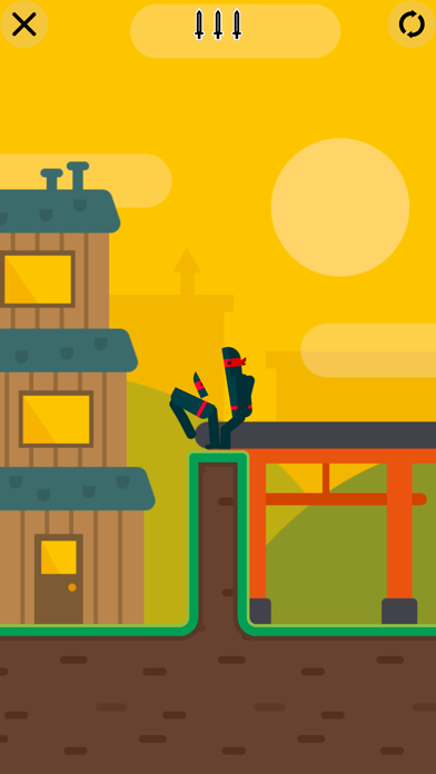 Mr Ninja - Slicey Puzzles Game Screenshot