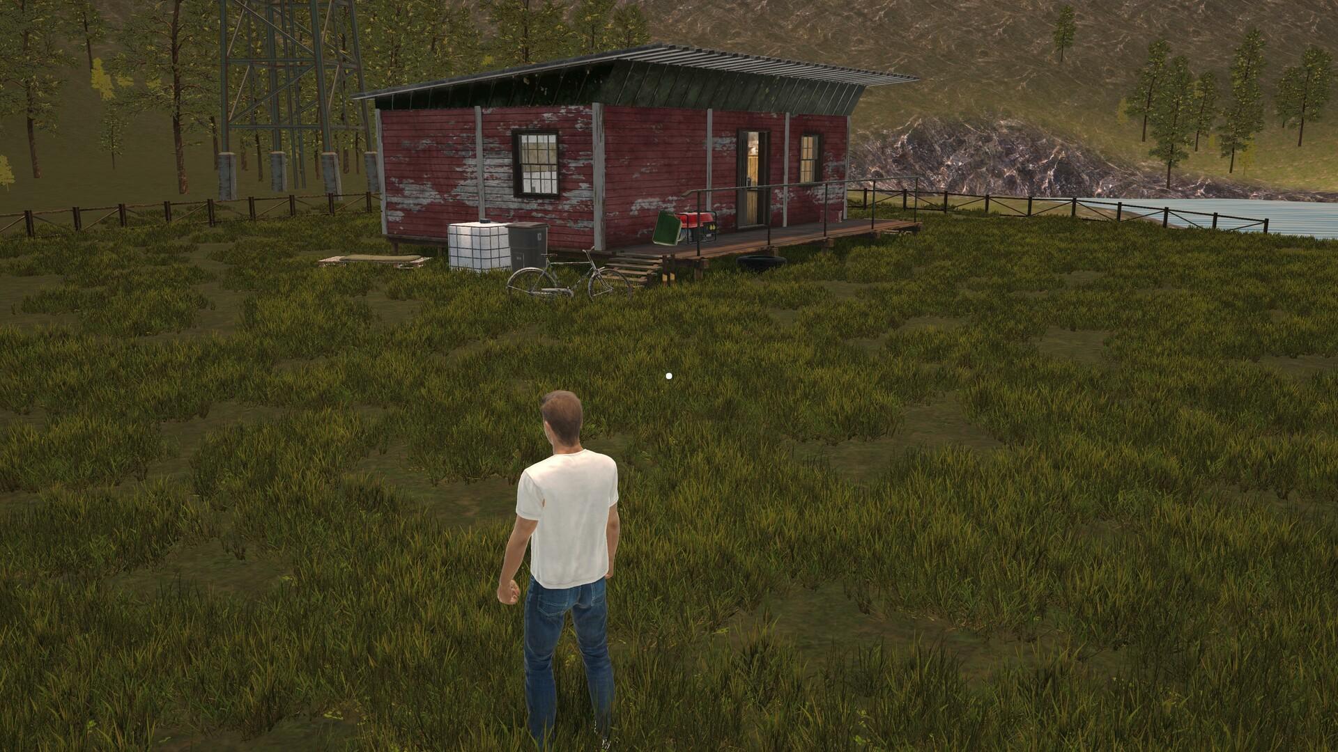 Screenshot of Delivery Life Simulator
