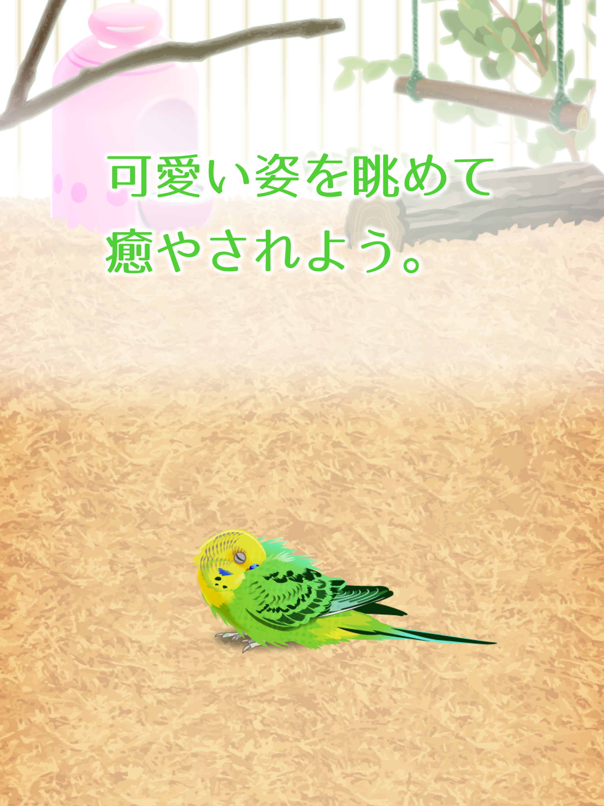 癒しのインコ育成ゲーム ゲームのスクリーンショット