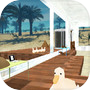Escape from Archeology Museum
