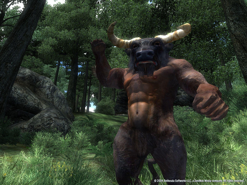 Screenshot of The Elder Scrolls IV: Oblivion® Game of the Year Edition