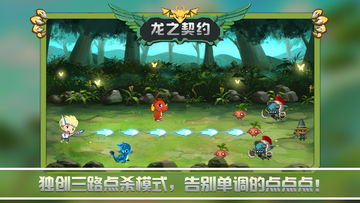 龙之契约 Game Screenshot