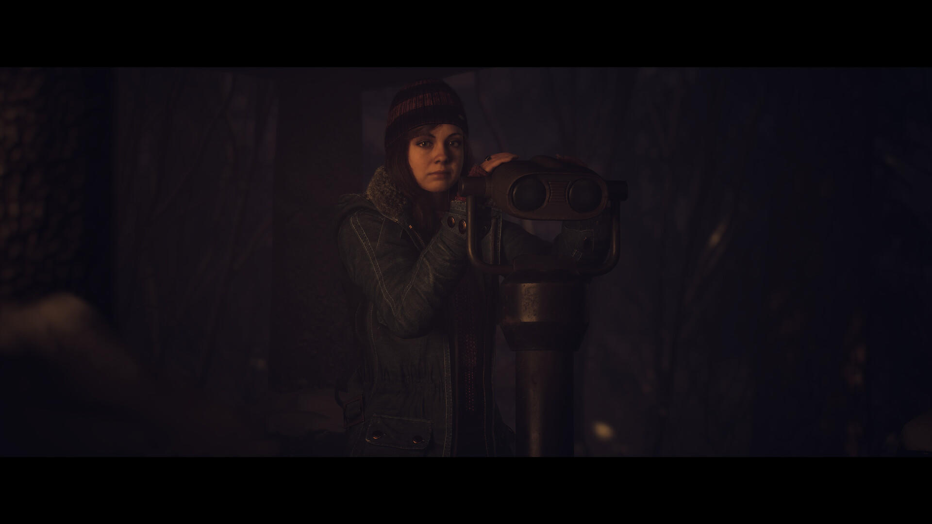 Until Dawn™ Game Screenshot