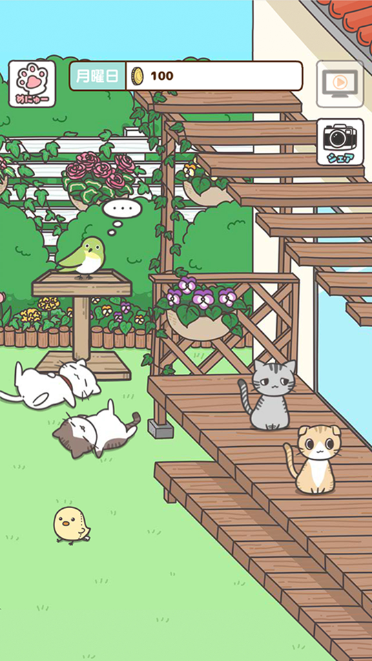 Jogo da memória do gato da sorte versão móvel andróide iOS-TapTap