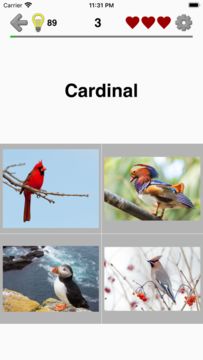 Cuplikan Layar Game Animals Quiz - Mammals in Zoo