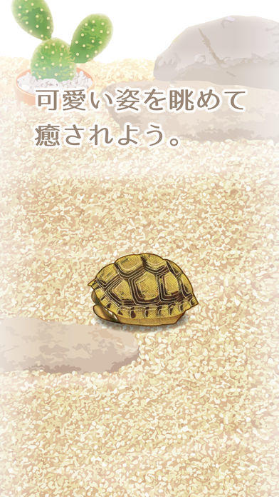 Screenshot of Tortoise Aquarium Free