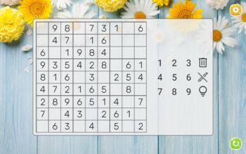 Sudoku Game Screenshot
