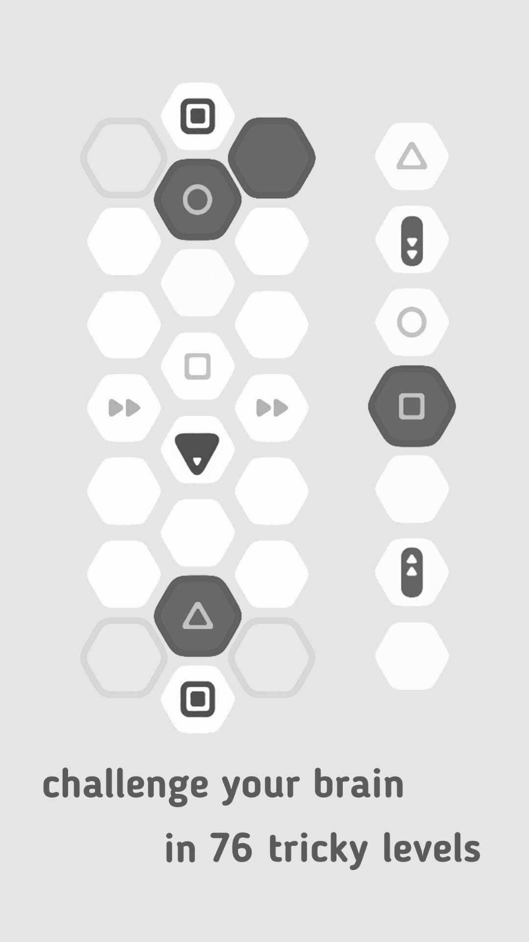 Hexanome Game Screenshot