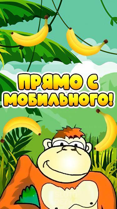 Funny Monkey. Help Monkey to catch bananas! screenshot game