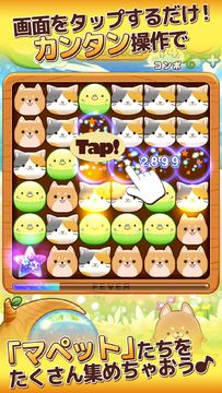 ヤマダパズル たぷたん Game Screenshot