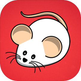 Catch Mouse: Pet Game For Cat