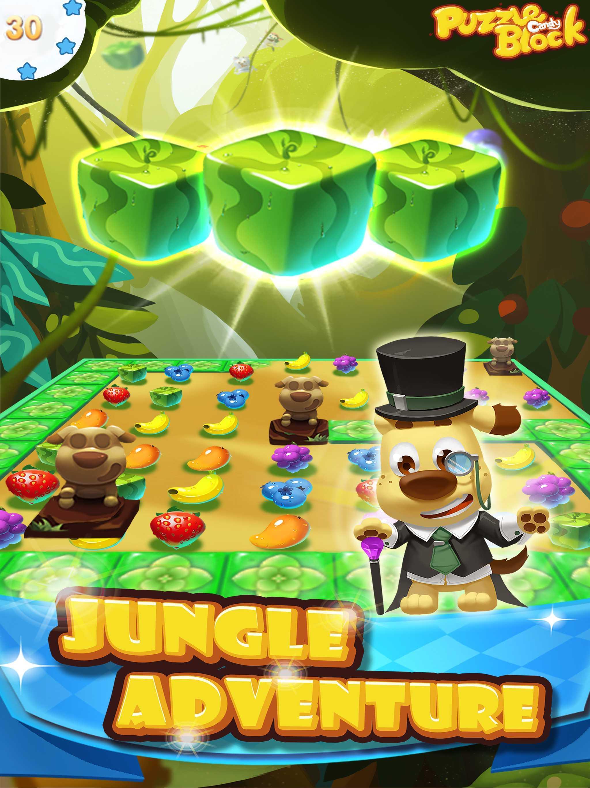 Puzzle Candy Block ゲームのスクリーンショット