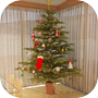 Escape Game:Christmas 2