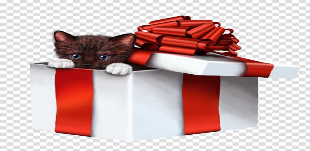 Banner of gift catch 