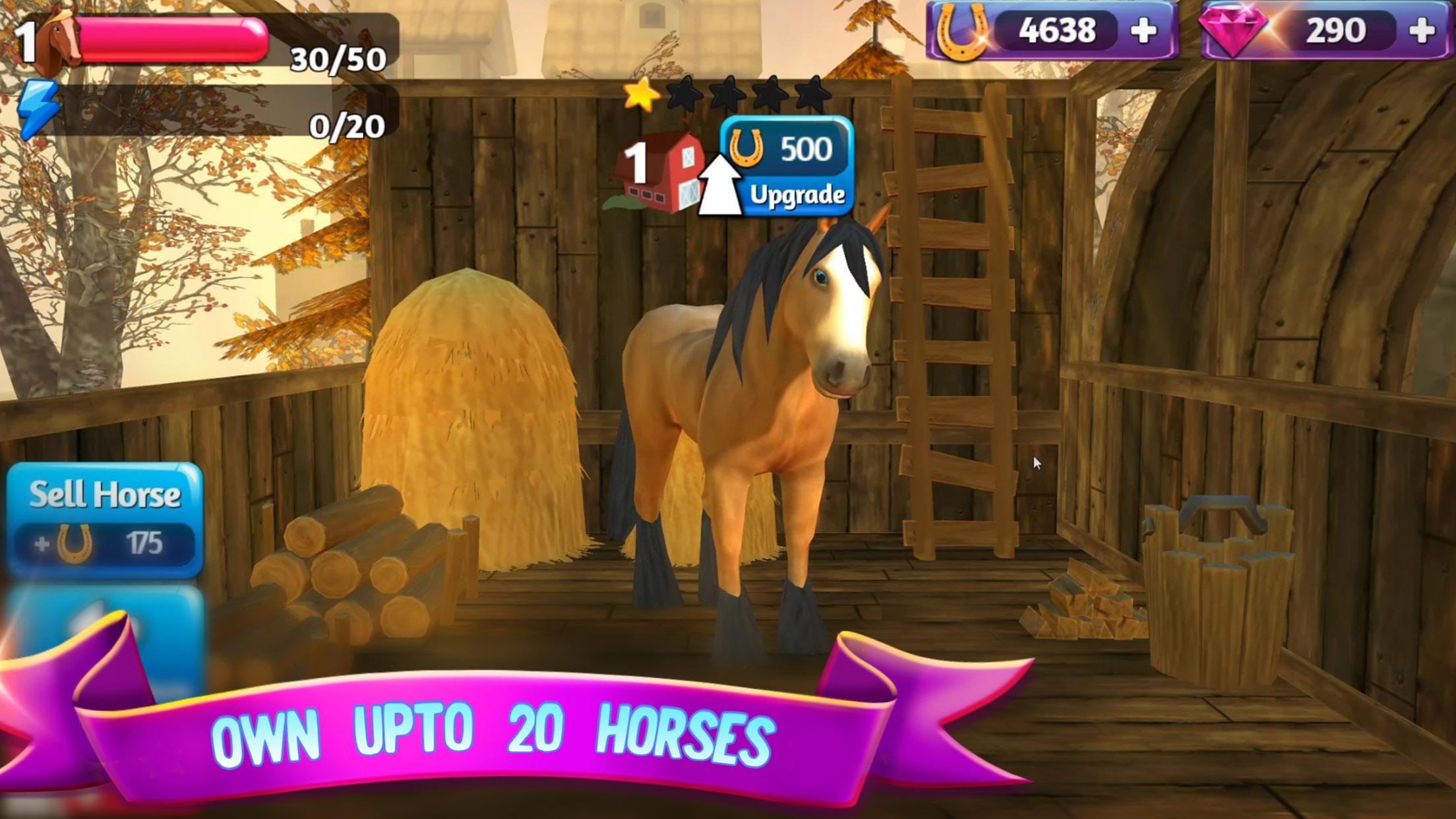 Horse Paradise: My Dream Ranch Game Screenshot