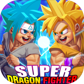 Super Dragon Fighter Combat
