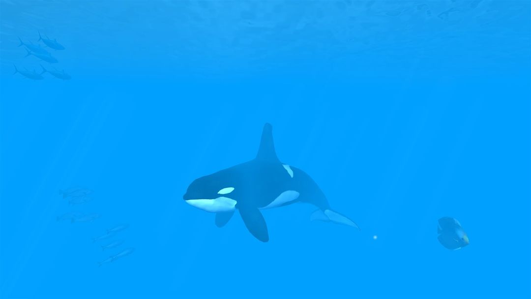 VR Ocean Aquarium 3D 게임 스크린 샷
