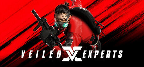 VEILED EXPERTS screenshot