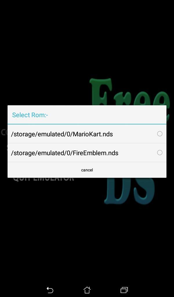 Free DS Emulator Game Screenshot