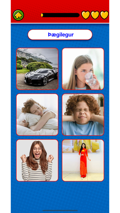 Captura de Tela do Jogo Learn Icelandic Flashcards