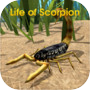 Life of Scorpion