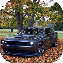 Car Driving Open World Games