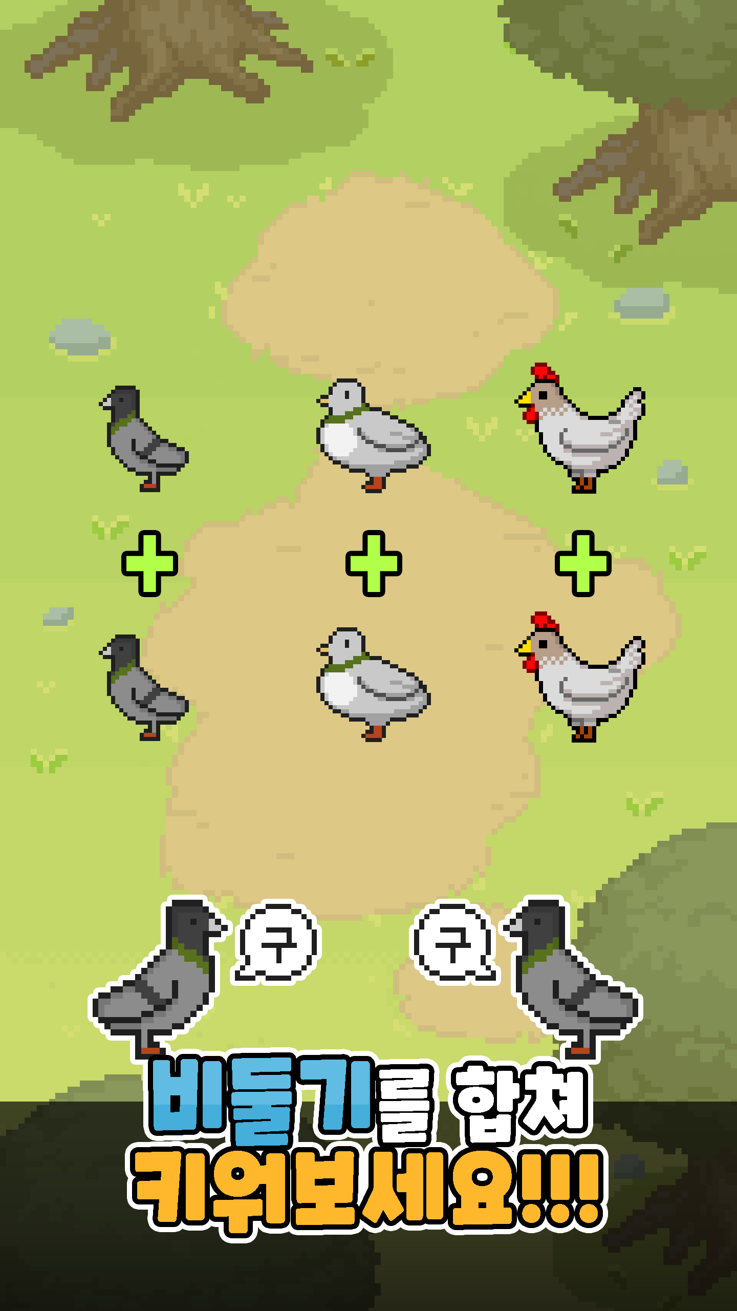 Captura de Tela do Jogo 비둘기키우기