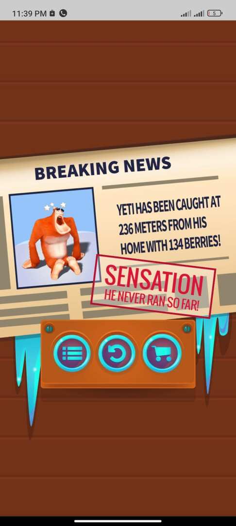 Yeti Sensation screenshot game