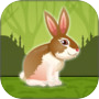 Icon of FreeTheGrayRabbit