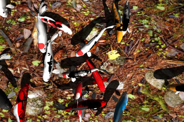 Captura de Tela do Jogo Koi Garden