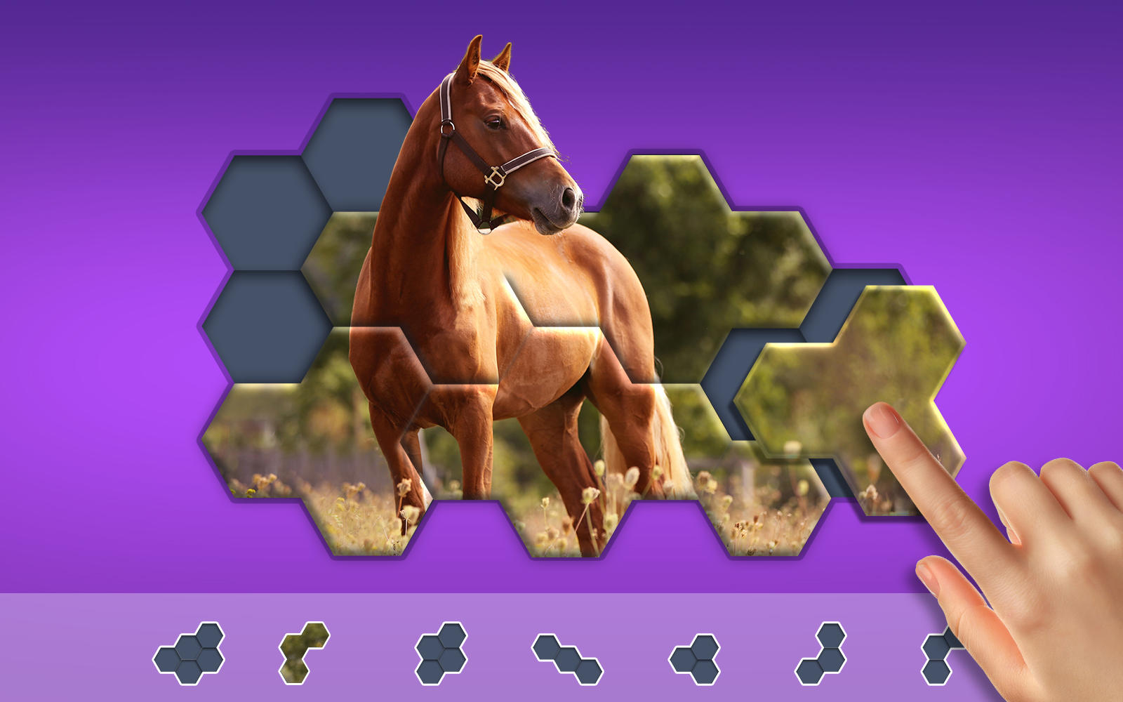 Hexa Jigsaw Puzzle ® Game Screenshot