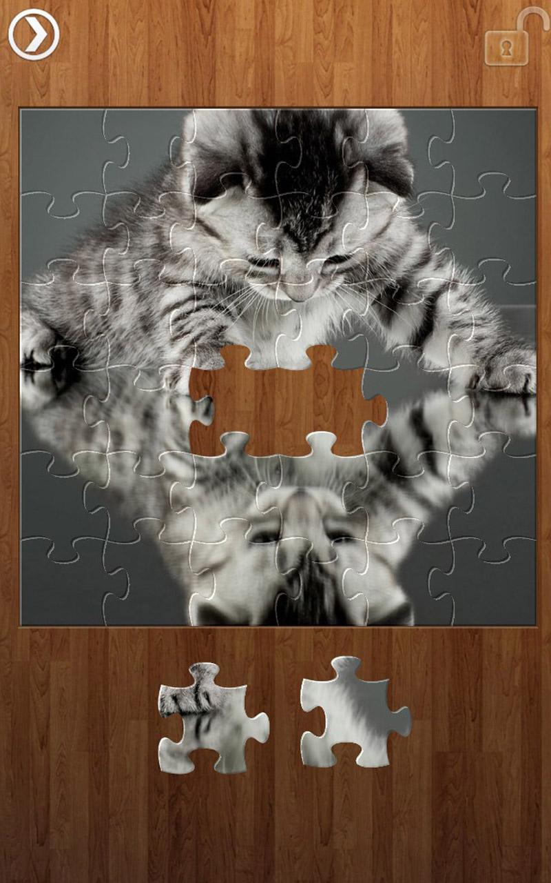 Reflection Jigsaw Puzzles Game Screenshot