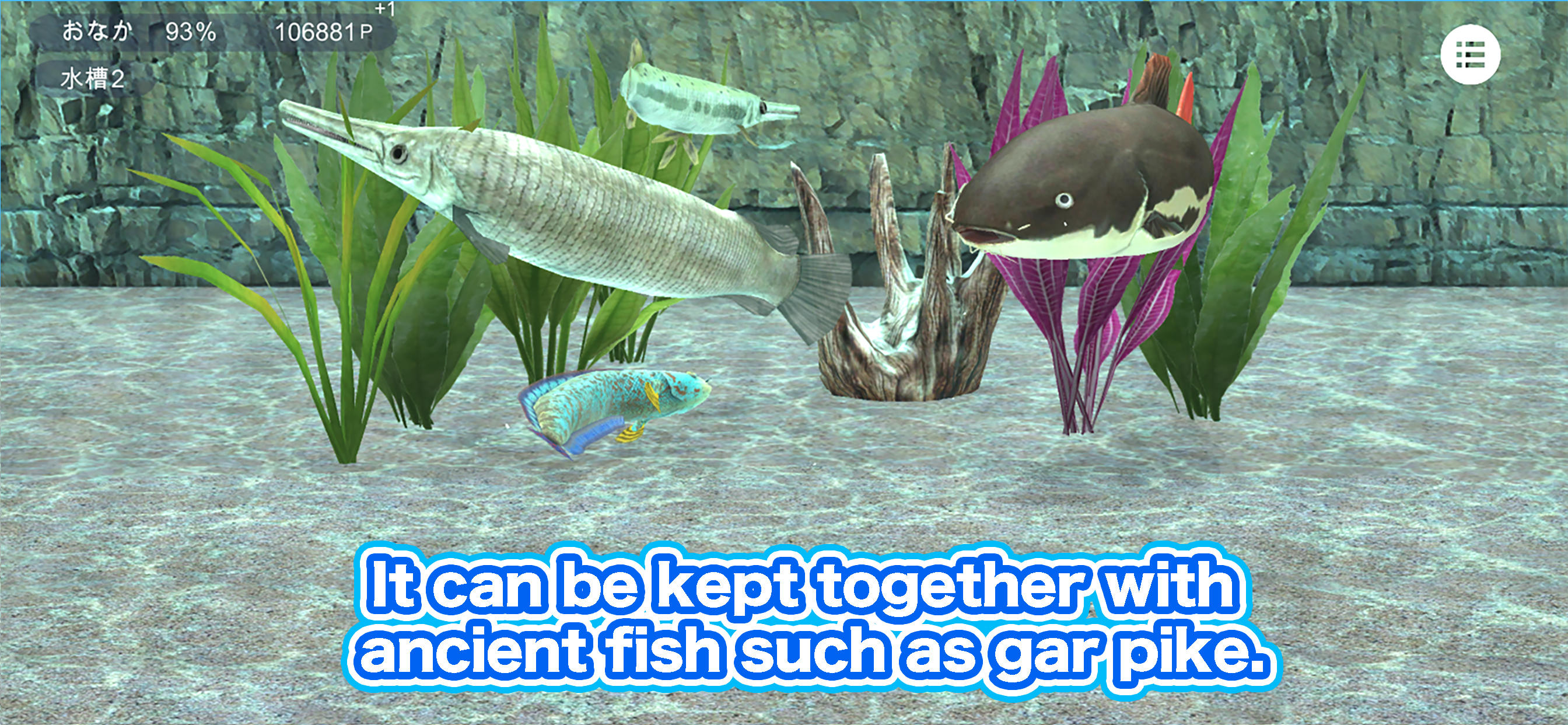 Redtail catfish Aquarium Game Screenshot